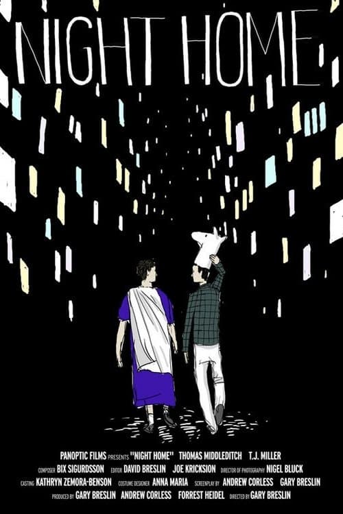 Night Home poster