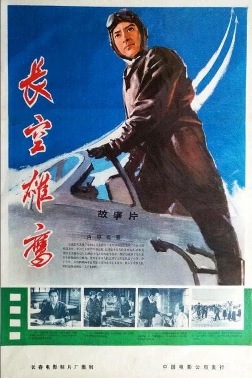 长空雄鹰 poster