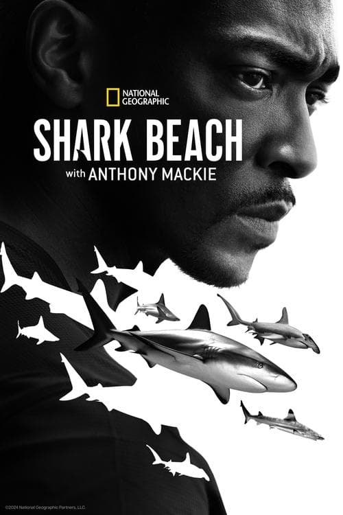 Der Strand der Haie mit Anthony Mackie: Golfküste poster