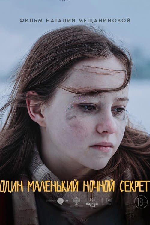 Один маленький ночной секрет poster