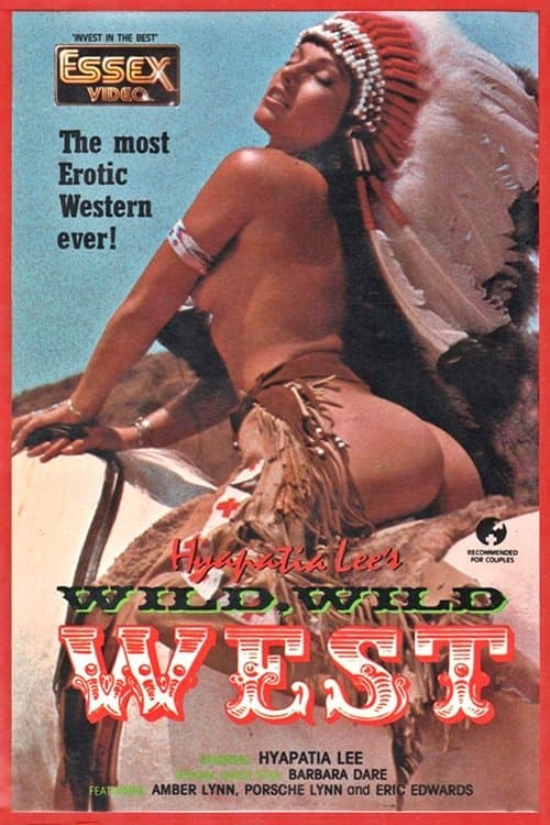 The Wild, Wild West poster
