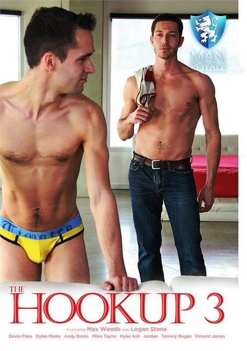 The Hookup 3 poster