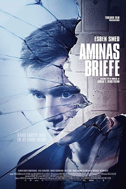 Aminas Briefe poster