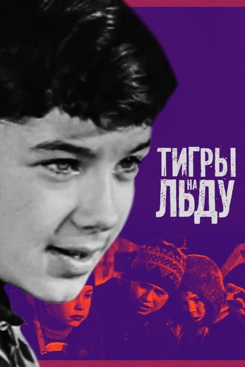 Тигры на льду poster