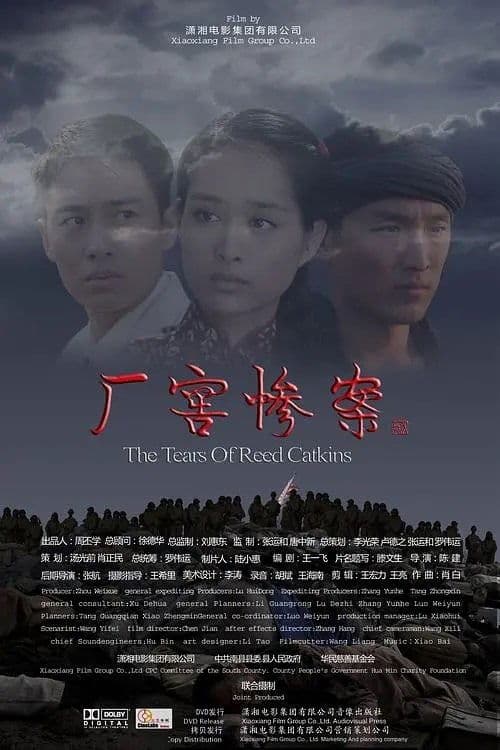厂窖惨案 poster