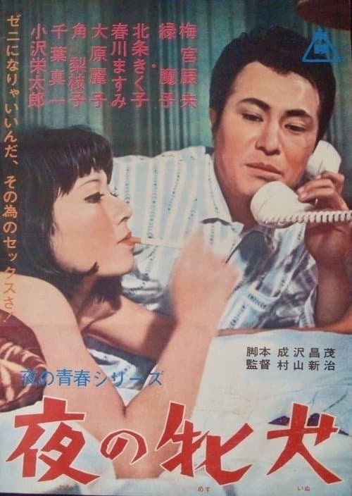 夜の牝犬 poster