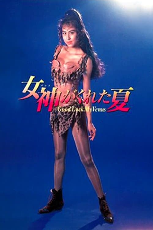 女神がくれた夏 poster