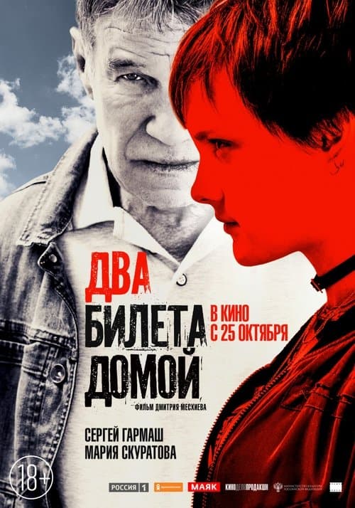 Два билета домой poster