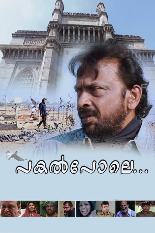 പകല്‍പോലെ... poster