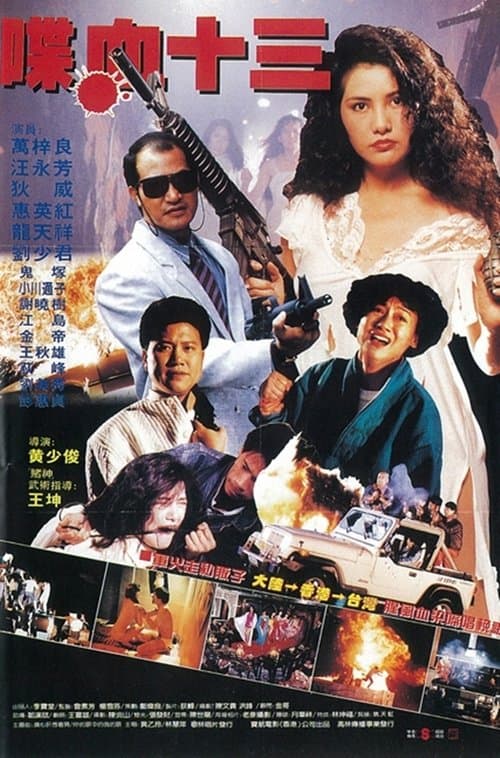 風塵十三姨 poster