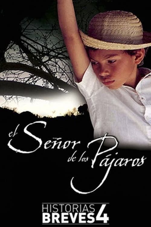 El señor de los pájaros poster