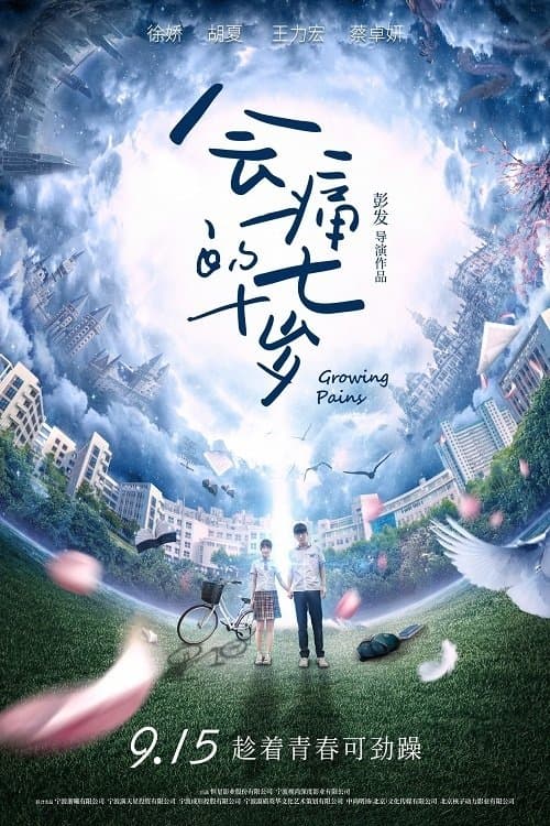 会痛的十七岁 poster