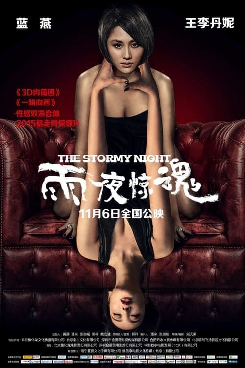 雨夜惊魂 poster