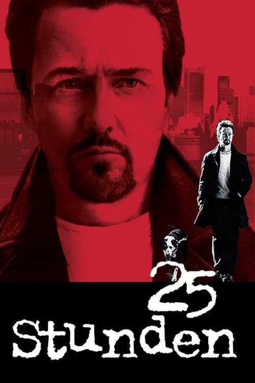 25 Stunden poster