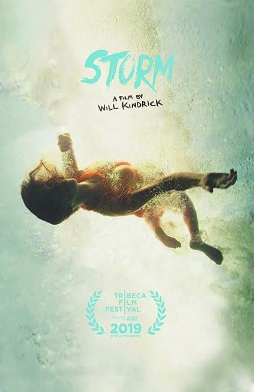 Storm poster