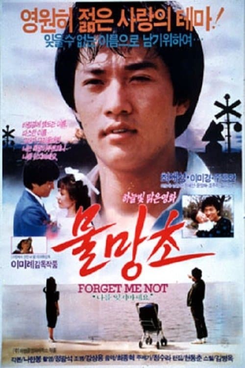 물망초 poster