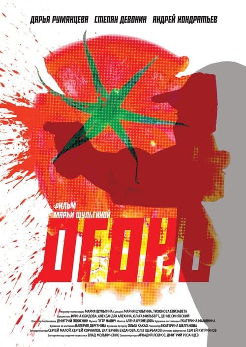 Огонь poster