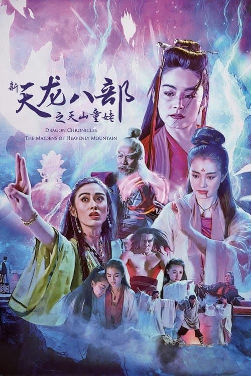 新天龍八部之天山童姥 poster