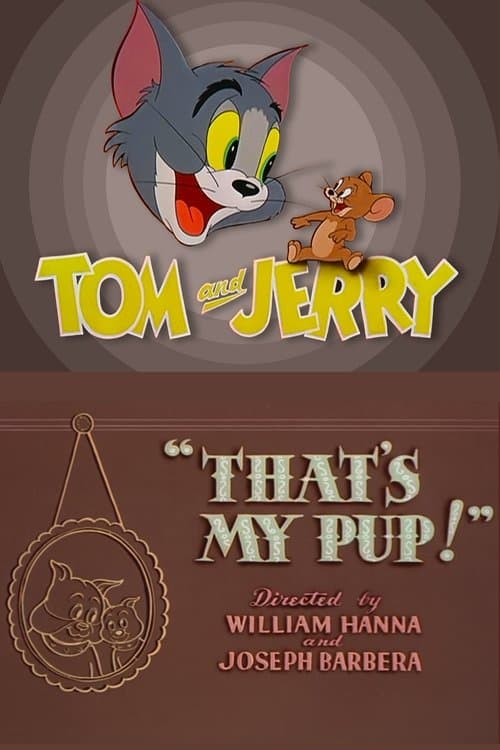 Tom wird Klettermeister poster