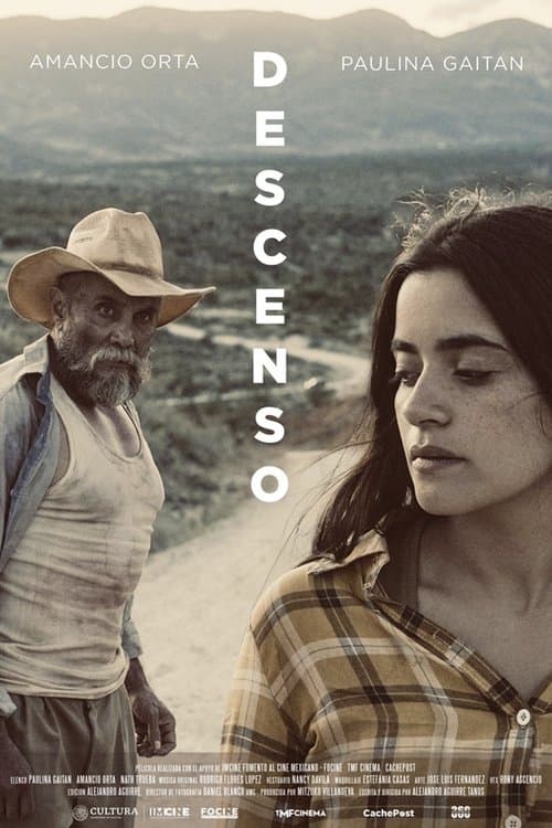 Descenso poster