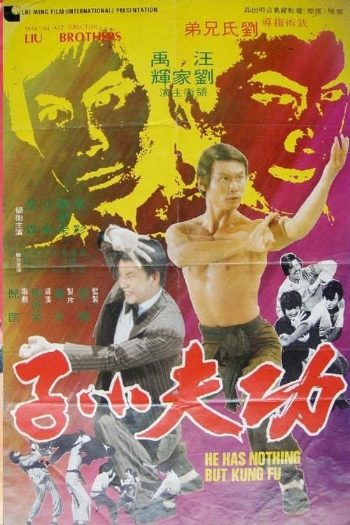 功夫小子 poster