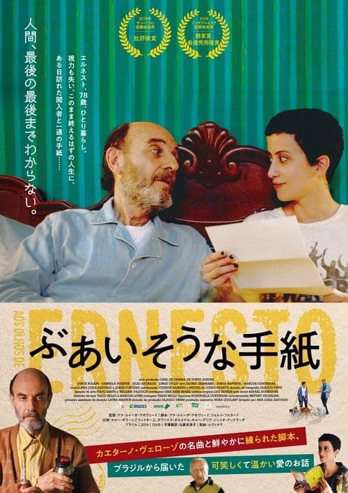 Aos Olhos de Ernesto poster