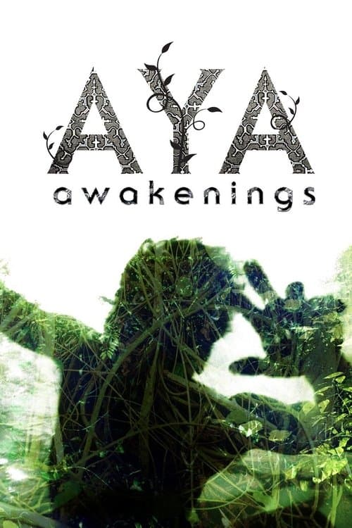Aya: Awakenings poster