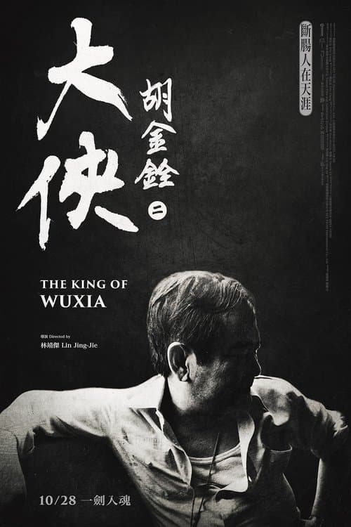 大俠胡金銓：斷腸人在天涯 poster