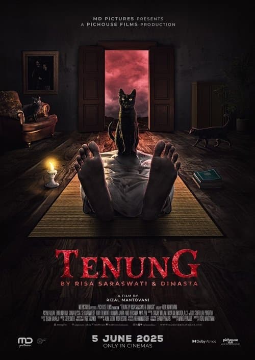 Tenung by Risa Saraswati dan Dimasta poster