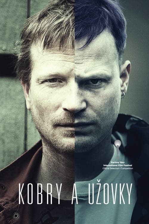 Kobry a Užovky poster