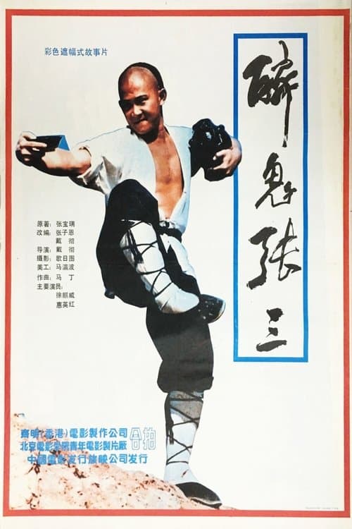 醉侠行 poster
