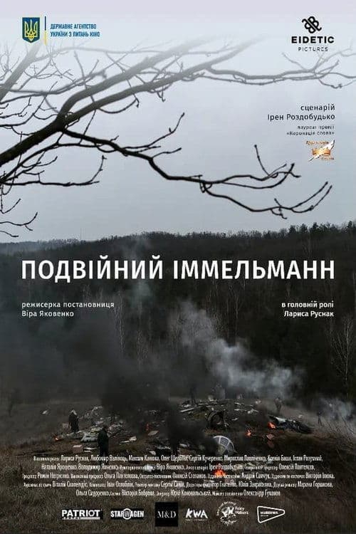 Подвійний іммельманн poster