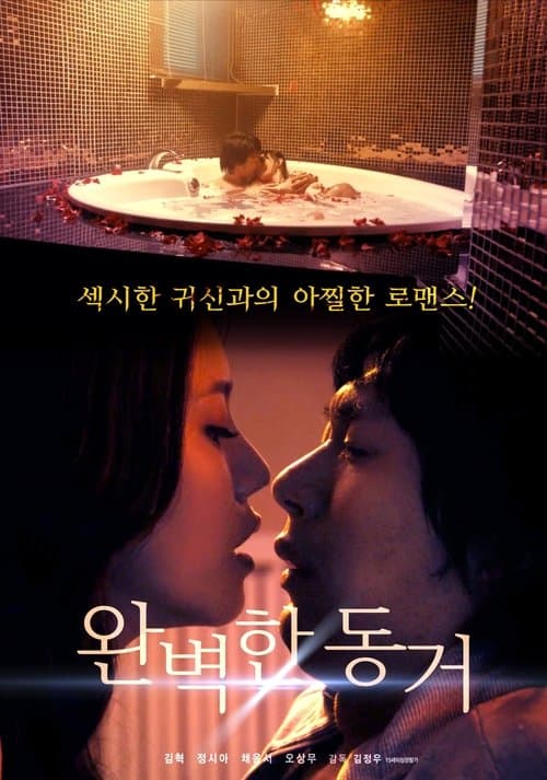 완벽한 동거 poster