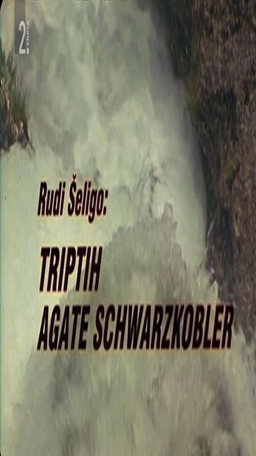 Triptih Agate Schwarzkobler poster