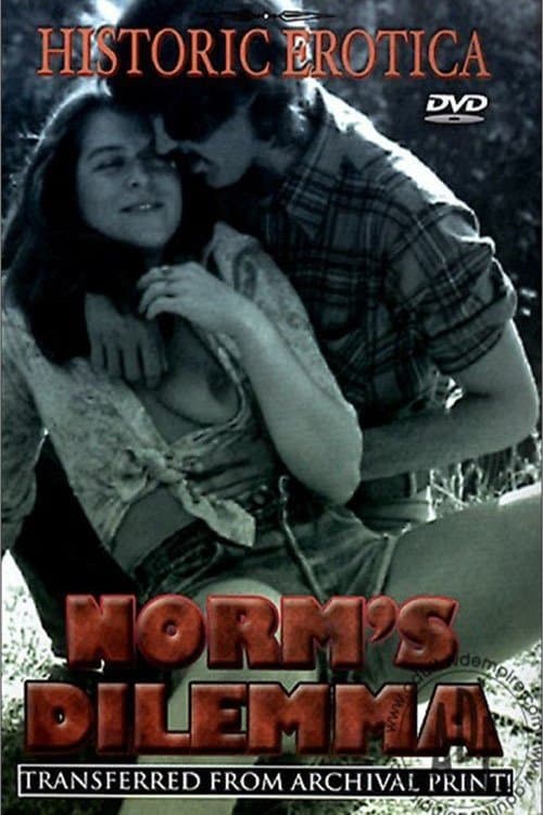 Norm's Dilemma poster
