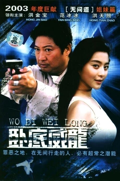 臥底威龍 poster
