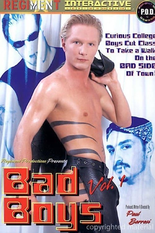 Bad Boys 1 poster