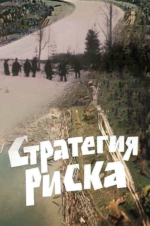 Стратегия риска poster