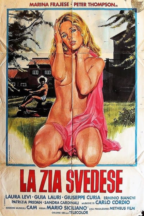 La zia svedese poster