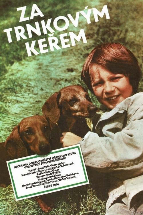 Meine Ferien mit Großvater poster