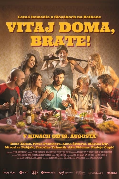 Vitaj doma, brate! poster