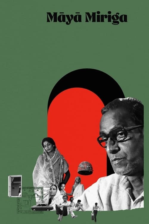 ମାୟା ମିରିଗ poster