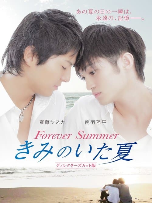 きみのいた夏　ディレクターズカット版 poster