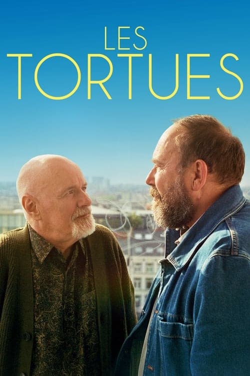 Les tortues poster