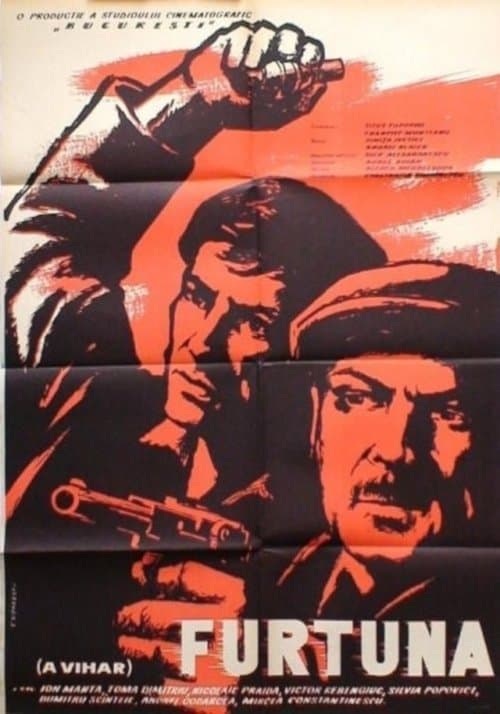 Furtuna poster