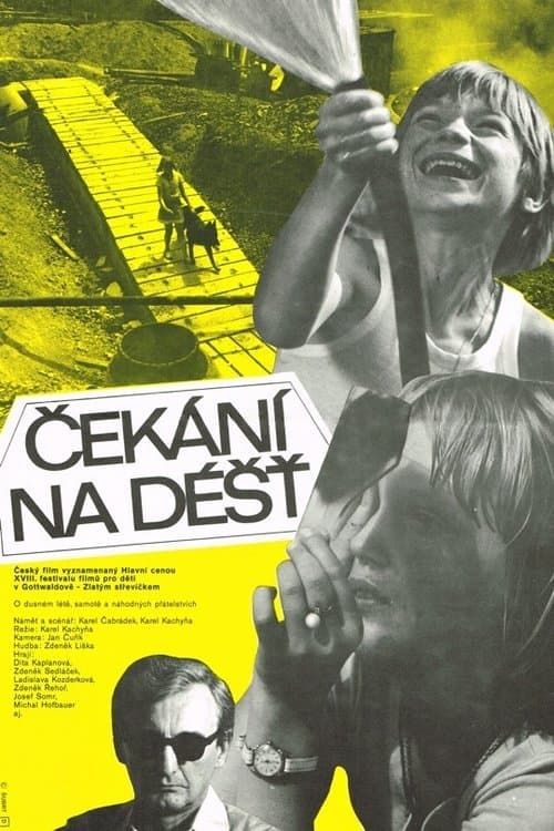 Čekání na déšť poster