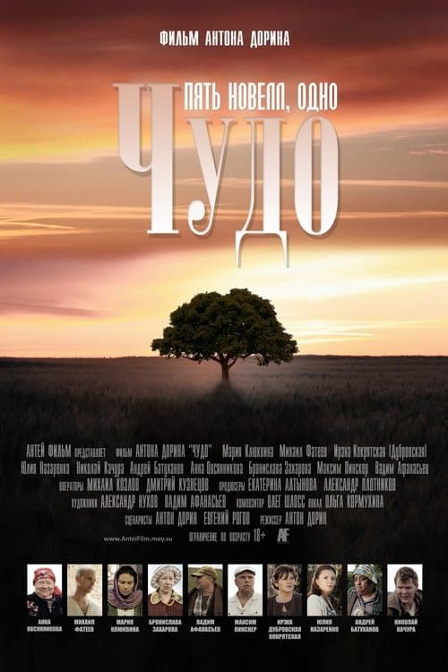 Чудо poster
