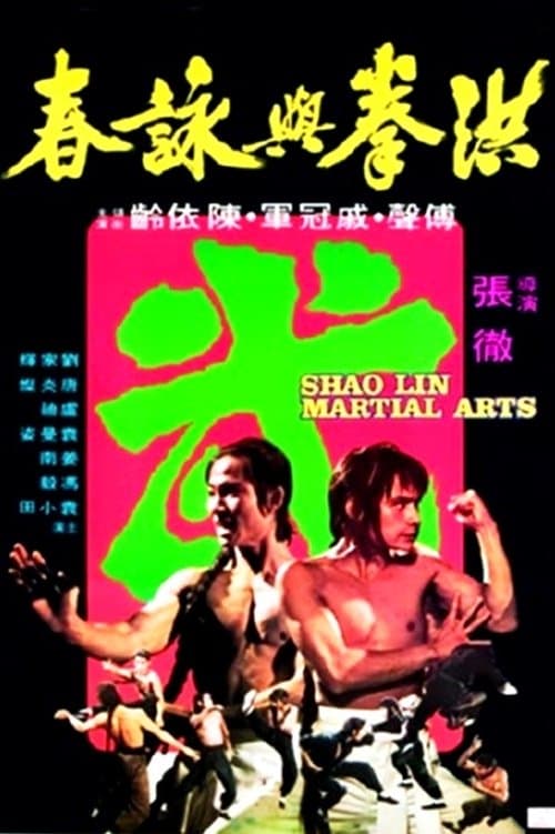洪拳與詠春 poster
