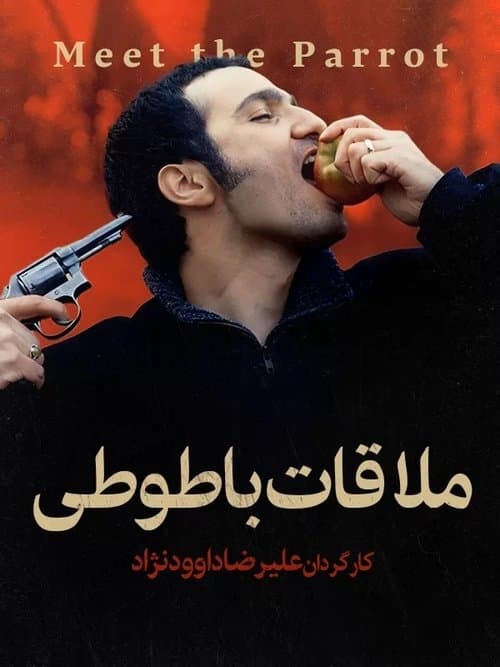 ملاقات با طوطی poster