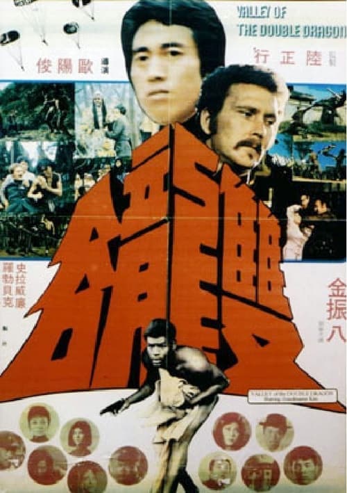 雙龍谷 poster
